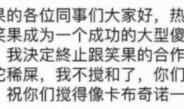 笑果文化爆料网友视频,揭秘网络恶搞背后的真相